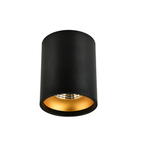 RT00117 Interior Design Surface Mounted Down Light